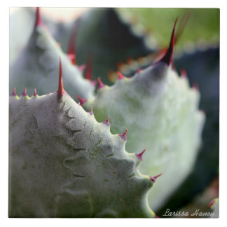 Carreau Tuile de potatorum d'agave