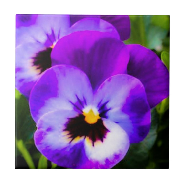 Carreau Tuile de purple (Devant)