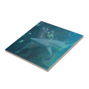 Carreau Tuile de requin