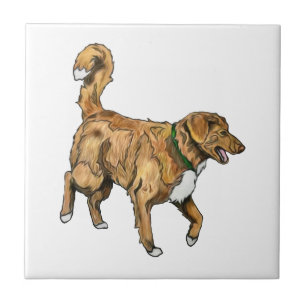 Carreau Tuile de Toller