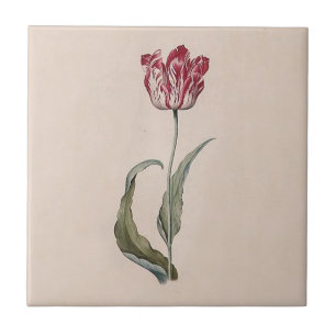 Carreau Tuile de tulipe de Judith Leyster