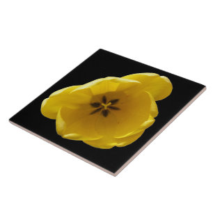 Carreau Tuile de tulipe jaune