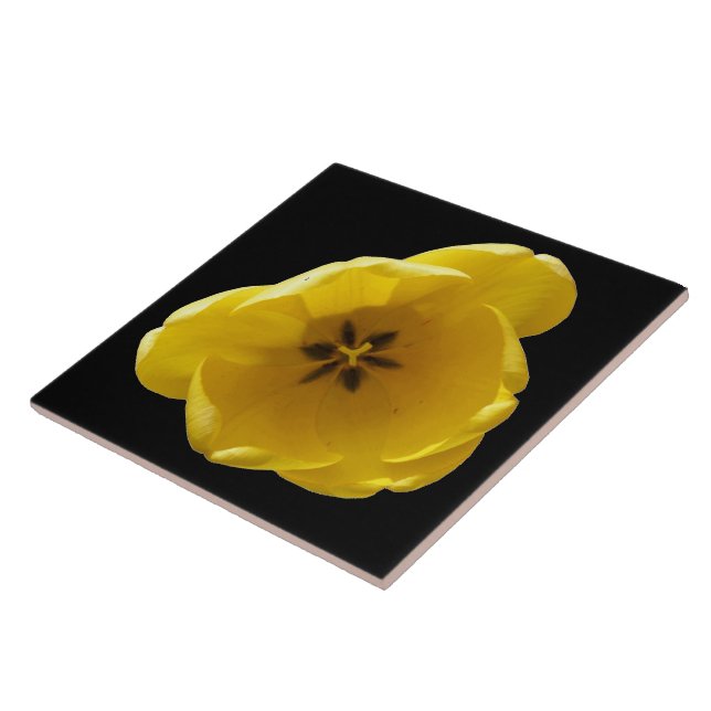 Carreau Tuile de tulipe jaune (Côté)
