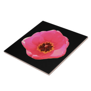 Carreau Tuile de tulipe rose