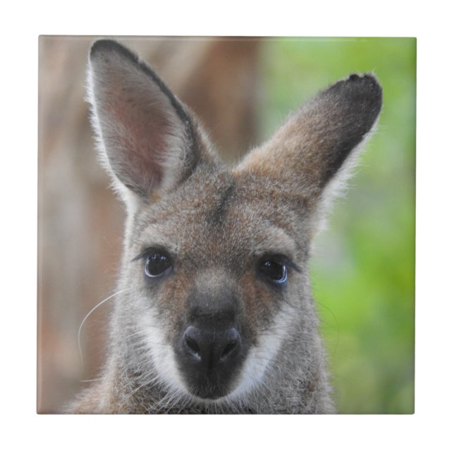 Carreau Tuile de wallaby (Devant)