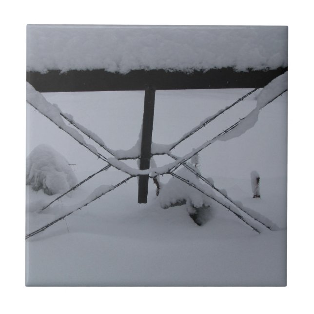 Carreau tuile décorative (Devant)