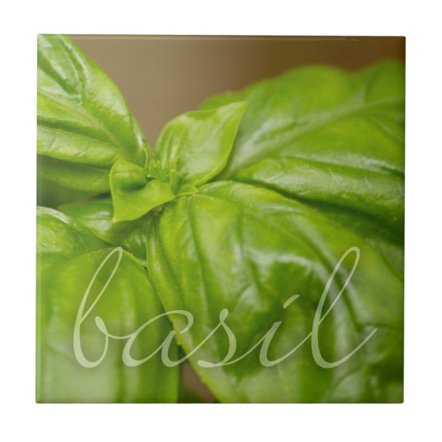 Carreau Tuile décorative de Basil (Devant)