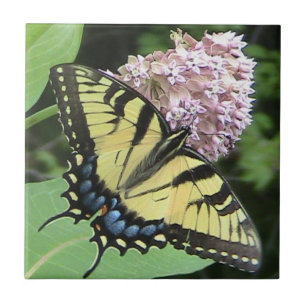 Carreau Tuile décorative de papillon jaune de machaon