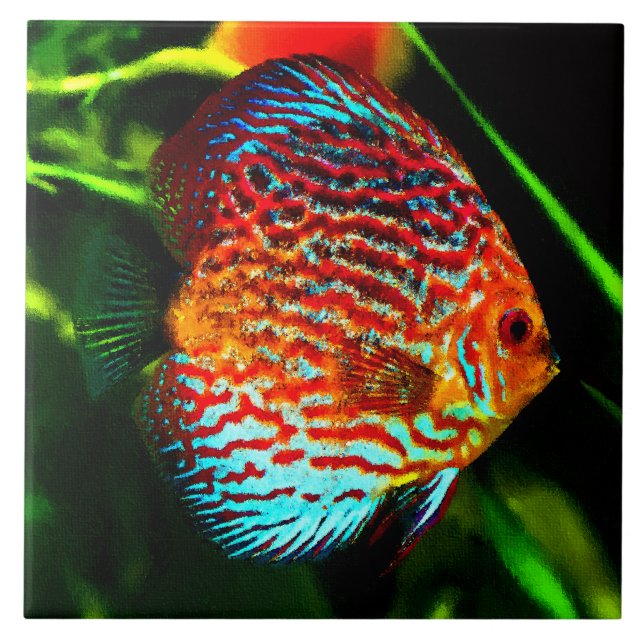 Carreau Tuile décorative de poissons d'aquarium de disque (Devant)
