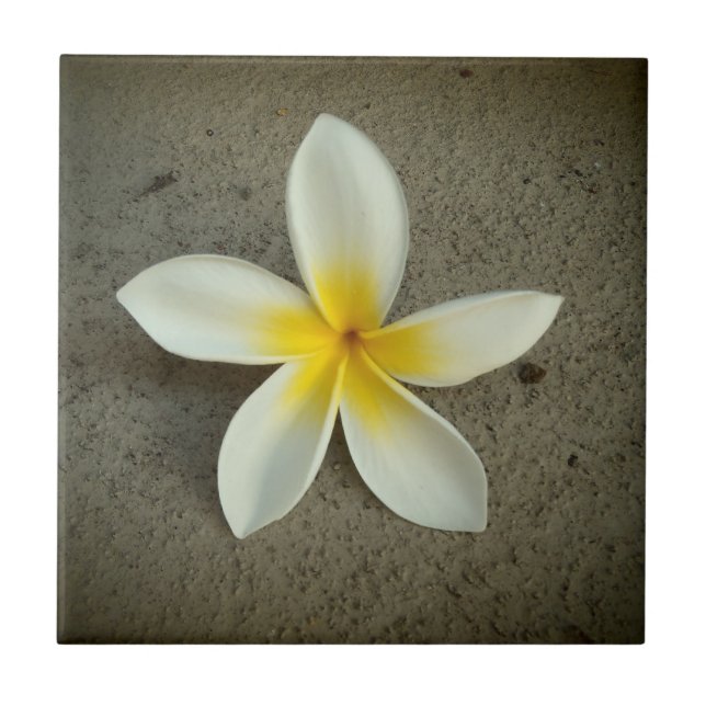 Carreau Tuile décorative hawaïenne de fleur de Plumeria (Devant)
