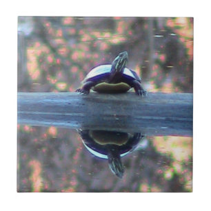 Carreau Tuile décorative reflétée par tortue