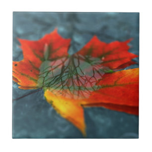 Carreau Tuile décorative rétroréflexion / Trivet