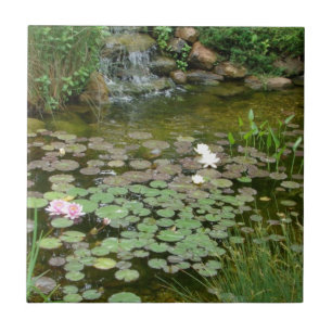 Carreau Tuile d'étang de Koi