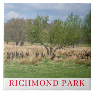 Carreau Tuile en céramique de cerf de London Richmond Park
