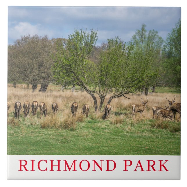 Carreau Tuile en céramique de cerf de London Richmond Park (Devant)