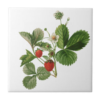 Carreau Tuile en céramique de fraise vintage