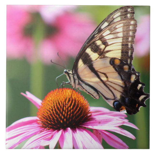 Carreau Tuile en céramique de papillon à queue jaune (Devant)
