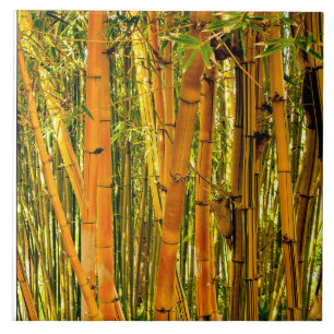 Carreau Tuile en céramique en bambou de l'art 6 x 6