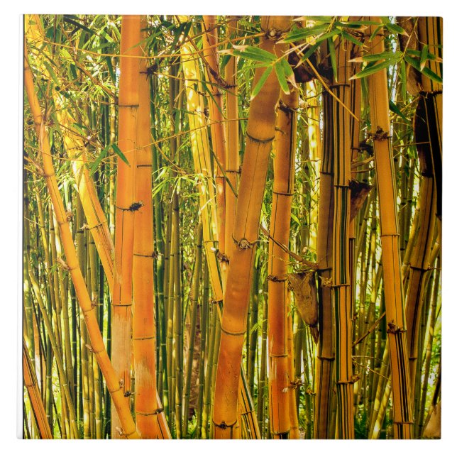 Carreau Tuile en céramique en bambou de l'art 6 x 6 (Devant)