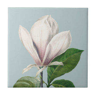 Carreau Tuile en céramique magnolia blanche