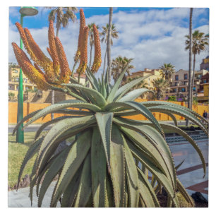 Carreau Tuile en céramique plante Aloe Vera