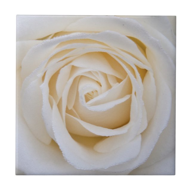 Carreau Tuile en céramique rose blanche (Devant)