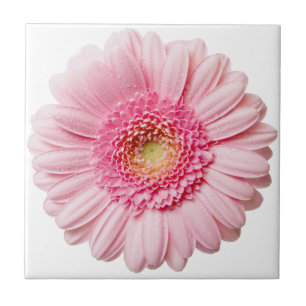 Carreau Tuile en céramique rose Gerbera Daisa