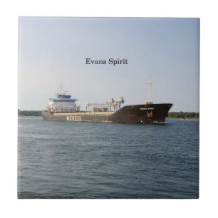 Carreau Tuile Evans Spirit