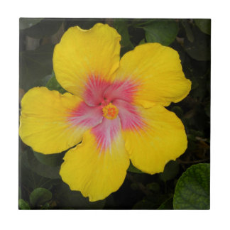 Carreau Tuile florale Hawaï de ketmie jaune tropicale