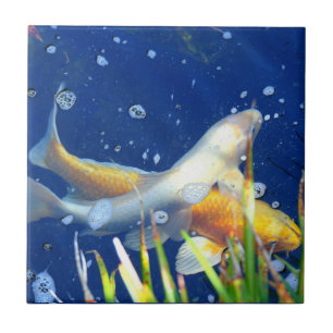 Carreau tuile japonaise d'étang de koi