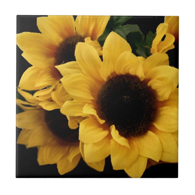 Carreau Tuile jaune de décor de cuisine de tournesols (Devant)