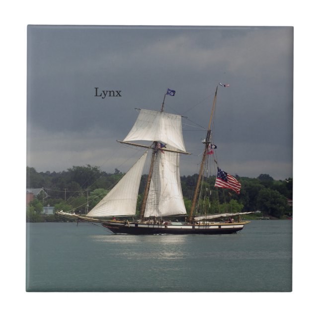 Carreau Tuile Lynx (Devant)