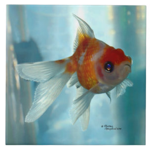 Carreau Tuile orange de poisson rouge de Pearlscale