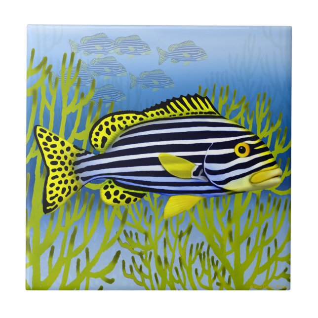 Carreau Tuile orientale de poissons de Sweetlips de récif (Devant)