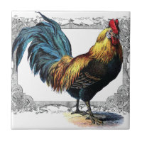 tuile ou trépied de coq