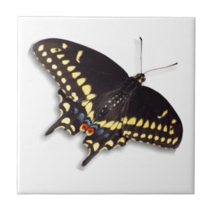 Carreau Tuile papillon - Black Swallowtail