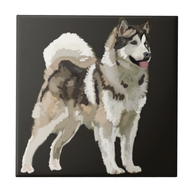 Carreau Tuile photo en céramique Husky Dog (Devant)