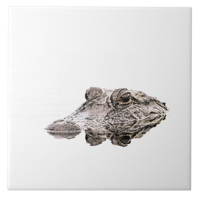 Carreau Tuile photo Gator (Devant)