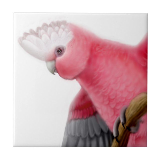 Carreau Tuile rose de cacatoès de Galah Breasted (Devant)