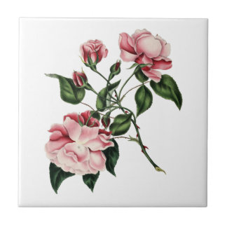 Carreau Tuile rose de cru