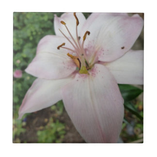 Carreau Tuile rose de lis