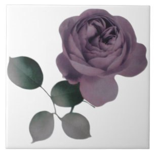 Carreau Tuile Rose violet