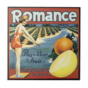 Carreau Tuile se baignante vintage d'art d'étiquette de