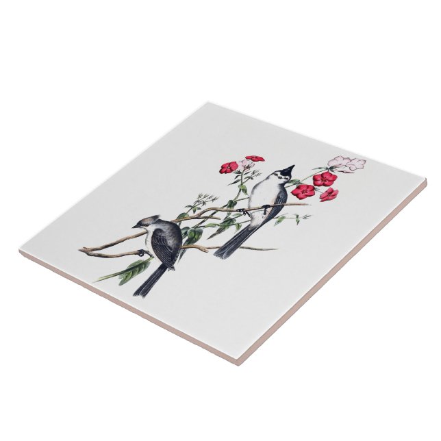 Carreau Tuile TITMOUSE CRÉÉE EN NOIR (Côté)