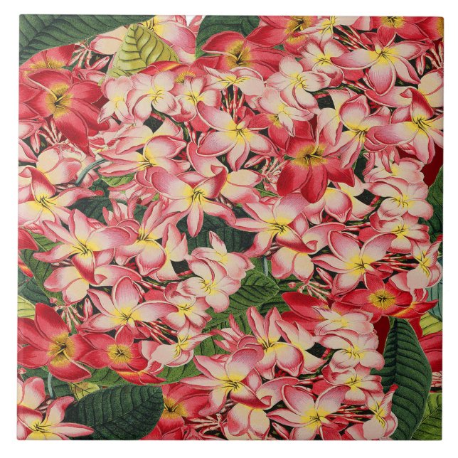 Carreau Tuile tropicale de fleur de jardin floral de (Devant)