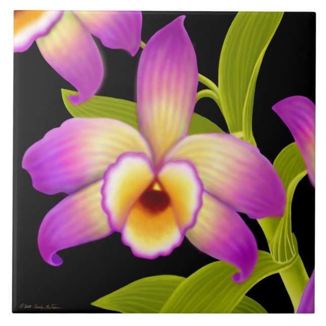 Carreau Tuile tropicale d'orchidée de Nobile de Dendrobium (Devant)