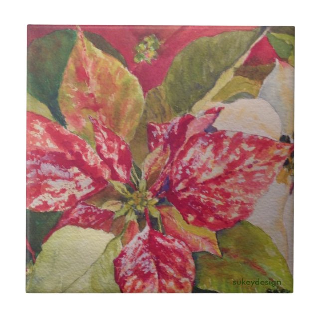 Carreau Tuile variée de poinsettia (Devant)