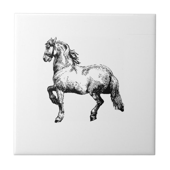 Carreau Tuile vintage de cheval (Devant)