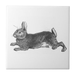 Carreau Tuile vintage de lapin