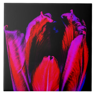 Carreau Tulipe de Neon Glow